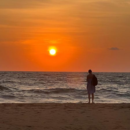 Honey Beach Hostel Negombo Exteriér fotografie